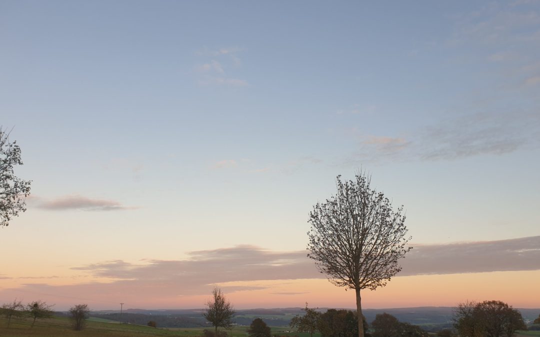 Ein unvergesslicher Ausflug in die Welt der Greifvögel