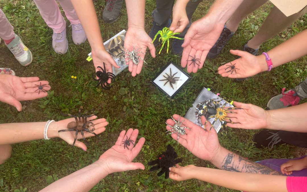 Faszination Achtbeiner hautnah erlebt