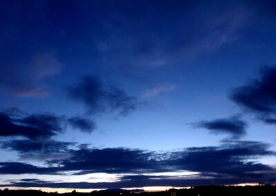 Den Fledermäusen auf der Spur