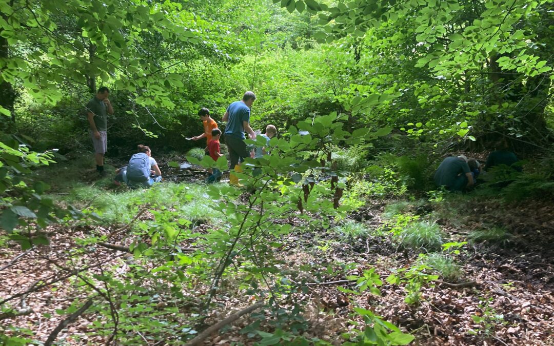 Kleine Forscher, große Entdeckungen: Bachtier-Exkursion in Dachsenhausen