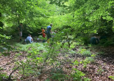 Kleine Forscher, große Entdeckungen: Bachtier-Exkursion in Dachsenhausen